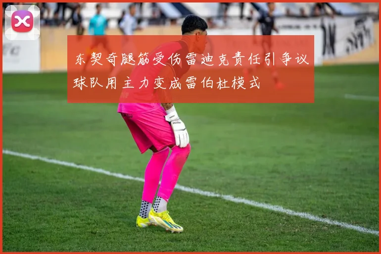 东契奇腿筋受伤雷迪克责任引争议球队用主力变成雷伯杜模式