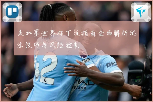 美加墨世界杯下注指南全面解析玩法技巧与风险控制